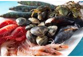 Развеян миф о вредном загрязнении морепродуктов