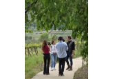 Moldova, în centrul atenției internaționale prin documentarul „Flavours of the Republic of Moldova” realizat de Charlie Ottley – o producție în trei episoade despre identitatea, potențialul cultural - turistic și frumusețea țării