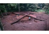 O analiză arată că vikingii au navigat din Scandinavia în Anglia alături de animalele lor de companie 