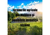 Dmitri Torner: E nevoie de o strategie naţională specială pentru atragerea investiţiilor străine în agricultură