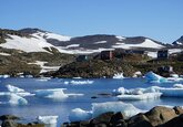Уникальное открытие: в Гренландии найдены останки растений