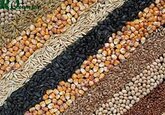 Gross agricultural production of Moldova decreased in 2020 by 27.1%, compared to 2019.