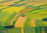 În Moldova va fi inițiată Strategia Națională de Dezvoltare Agricolă și Rurală pentru anii 2021-2030.