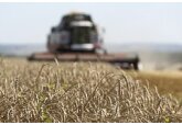 Евросоюз утвердил решение ввести пошлины на зерно из России