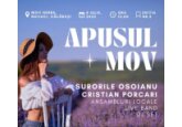 FESTIVALUL ÎN LAVANDĂ APUSUL MOV