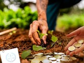Subvenționarea în agricultură va fi reglementată de o nouă lege