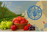 Moldova is among the top 15 largest fruit producers in Europe - the FAO