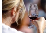 Vinurile spumante din Moldova au obținut 27 de medalii la concursul internațional Effervescents du Monde 2024 din Franța