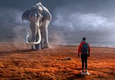 Ученые &quot;воскресят&quot; мамонтов к 2027 году