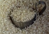 Употребление очищенного зерна оказалось опасным для жизни