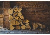 Moldova authorities have increased the limit for selling firewood to the population from 3 to 5 cubic meters. 