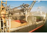 UE a crescut cotele de import pentru grâul din Ucraina – Reuters