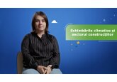 Как изменения климата влияют на нашу повседневную жизнь и какие рекомендации дают специалисты для рационального использования энергии