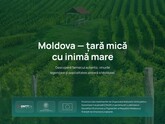 Organizațiile non-profit pot obține granturi de până la 750 mii de lei în cadrul programului „Turism durabil”, lansat de Oficiul Național al Turismului 