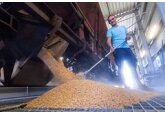 Мир предупредили о продовольственной катастрофе в 2023 году
