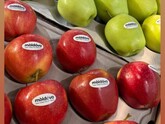 More than 10 fruit producers from Moldova are participating in the 17th annual Fruit Attraction 2025 exhibition, which is taking place from September 30 to October 2 in Madrid