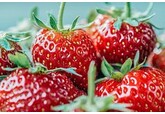 Повар поделилась простым лайфхаком для продления свежести клубники