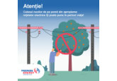 Atenție: culesul nucilor de pe pomii din apropierea rețelelor electrice este extrem de periculos. Respectați cu strictețe regulile de securitate!