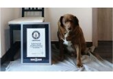 30-year-old Bobi named world&#039;s oldest dog ever by Guinness World Records