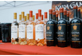 Festivalul „DeVin&amp;DeGust”: premii pentru dezvoltarea sectorului vitivinicol, degustări de vinuri și program artistic de excepție