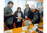 Для того чтобы конкурировать с производителями виноград из других стран, молдавским виноградарям необходимо диверсифицировать ассортимент в соответствии с потребительским спросом, - USAID.