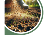 IFAD provides Moldovan farmers with loans for seeds and other working capital (fuel, fertilizers) at 7.7% per annum