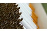 Chisinau Tobacco Plant Tutun-CTC will direct all its net profit for 2021 to the Enterprise Development Fund.