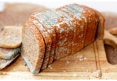 Что случится, если случайно съесть кусок продукта с плесенью?