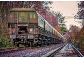&quot;Railways of Moldova&quot; company (CFM) will hold 6 auctions to sell unused old assets.