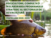Ministerul Agriculturii a elaborat un proiect de program strategic pentru dezvoltarea sectorului acvaculturii pentru perioada 2026-2030 și l-a discutat cu piscicultorii