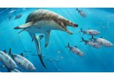 Dinosaur-age &#039;nightmarish&#039; sea lizard fossil found