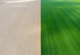Fermierul belgian şi istoria: de ce nu mutăm graniţe cu tractorul