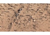 NASA&#039;s Mars rover finds surprising mud cracks that hint planet once supported life