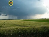 Guvernul va aloca 50 de milioane de lei pentru compensarea pierderilor fermierilor afectați de secetă și căldură extremă