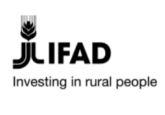IFAD alocă granturi de până la 500 mii dolari pentru dezvoltarea sistemelor de irigare în Moldova 