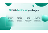 Business packages from maib: integrated banking services, as in a convenient monthly subscription