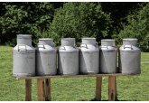 Moldova to enhance monitoring of the quality of raw milk to be processed/sold.