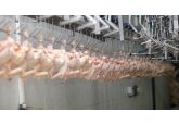 Comisia Europeană a lansat audit-ul sistemului de control al Republicii Moldova ce reglementează producția de carne de pasăre și ouă, destinate exportului în Uniunea Europeană
