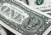 В США указали на негативные последствия американских санкций для доллара