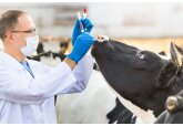Graduates of the Faculty of Veterinary Medicine can already take advantage of government support for employment in regions of the country.