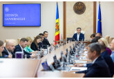 Правительство одобрило Регламент передачи в аренду земель сельхозназначения, находящихся в частной собственности, органами местного публичного управления