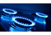 По прогнозу компании «Молдовагаз», новый тариф для бытовых потребителей, составит 29 леев за 1 куб. м без учета тарифных отклонений за этот год.