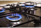 SUA se oferă să înlocuiască gazele rusești de pe piața europeană / UE analizează impactul în facturile oamenilor