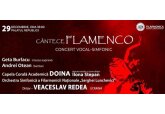 Cântece FLAMENCO