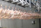 Experții UE au început auditul ANSA, care este important pentru Moldova pentru a obține dreptul de a exporta în Uniunea Europeană carne de pasăre, produse din carne de pasăre și ouă.