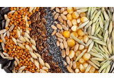 Moldova’s Commission for Licensing of Grains and Oilseeds Imports ceases its operation.