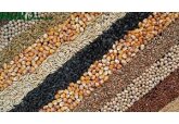 În anul 2021, prețurile medii de vânzare a produselor agricole de la întreprinderile agricole din Republica Moldova au crescut cu 13,7% față de anul 2020. 