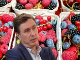 În 2024, volumul pieței fructelor de pădure din Moldova era estimat la 838 milioane de lei – de două ori mai mult decât în 2020, dar cu 20% mai puțin decât în 2022