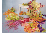 Jos cu florile: artiştii florali au renunţat la vaze de ceva vreme şi preferă să urce florile pe pereţi sau tavan, dar mai recent unii au început să le pună pe podea