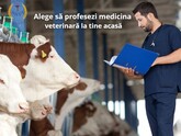 Din 2024, 24 de tineri medici veterinari au primit sprijin de la stat în valoare de peste 1,9 milioane de lei